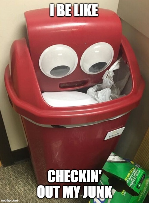 We all do it | I BE LIKE; CHECKIN' OUT MY JUNK | image tagged in funny,trash,junk,hot,selfie,genitals | made w/ Imgflip meme maker