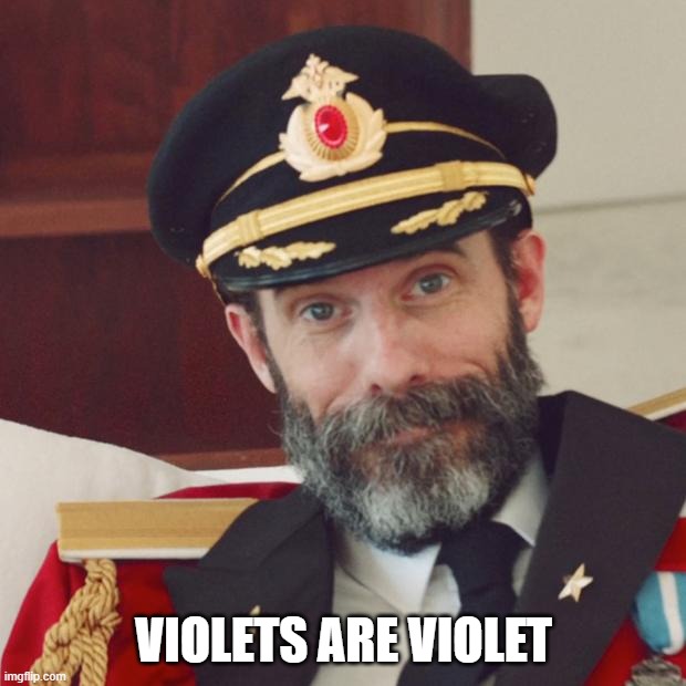 Captain Obvious | VIOLETS ARE VIOLET | image tagged in captain obvious | made w/ Imgflip meme maker