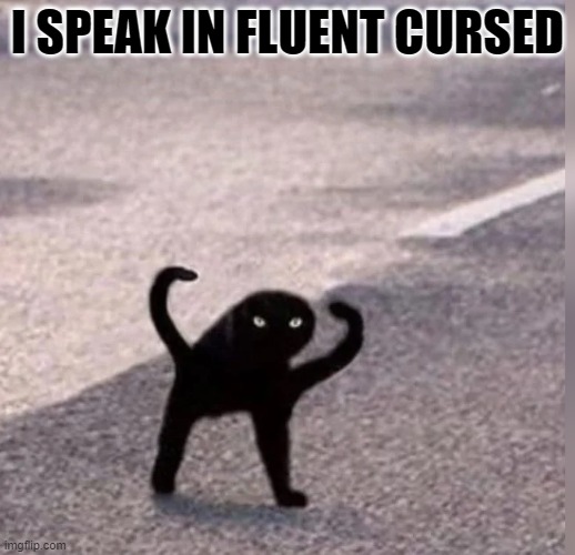 Cursed Cat | I SPEAK IN FLUENT CURSED | image tagged in cursed cat | made w/ Imgflip meme maker
