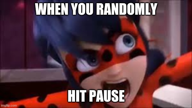 Random pause | WHEN YOU RANDOMLY; HIT PAUSE | image tagged in miraculous ladybug,funny | made w/ Imgflip meme maker