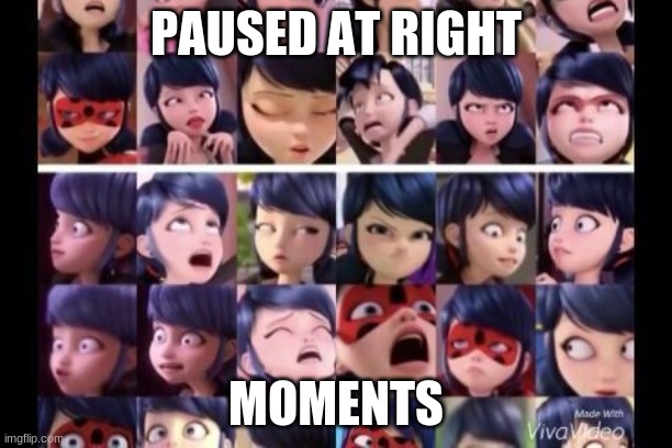 paused at right moments | PAUSED AT RIGHT; MOMENTS | image tagged in miraculous ladybug,funny | made w/ Imgflip meme maker