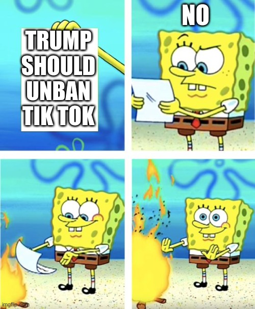 DEATH TO TIKTOK!!!!!!!!!!!!!!!!!!!! | NO; TRUMP SHOULD UNBAN TIK TOK | image tagged in spongebob burning paper | made w/ Imgflip meme maker