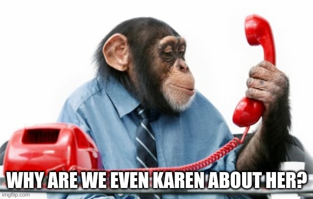 PhoneMonkey | WHY ARE WE EVEN KAREN ABOUT HER? | image tagged in phonemonkey | made w/ Imgflip meme maker