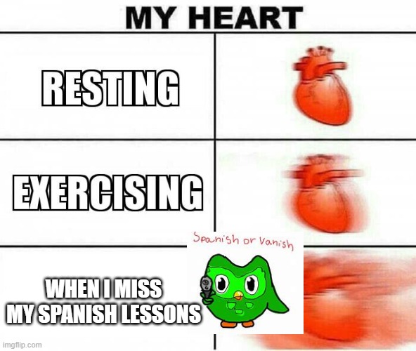 MY HEART | WHEN I MISS MY SPANISH LESSONS | image tagged in my heart | made w/ Imgflip meme maker