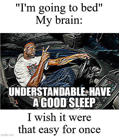 UNDERSTANDABLE, HAVE A GREAT DAY | "I'm going to bed"
My brain:; GOOD SLEEP; I wish it were that easy for once | image tagged in understandable have a great day | made w/ Imgflip meme maker