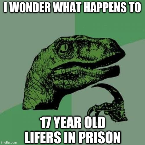 Philosoraptor Meme | I WONDER WHAT HAPPENS TO 17 YEAR OLD LIFERS IN PRISON | image tagged in memes,philosoraptor | made w/ Imgflip meme maker