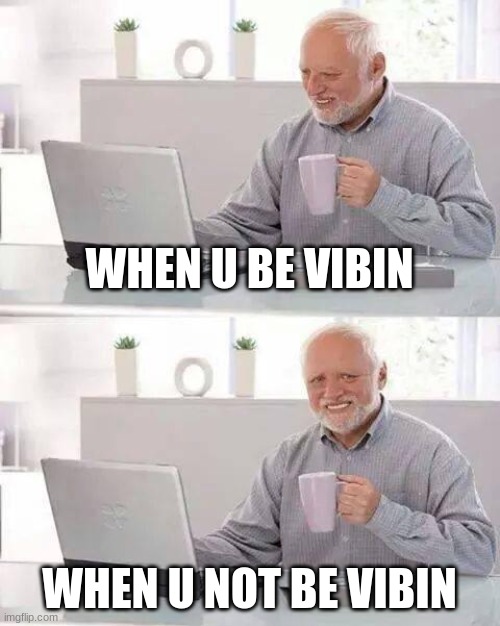 vibes | WHEN U BE VIBIN; WHEN U NOT BE VIBIN | image tagged in memes,hide the pain harold | made w/ Imgflip meme maker