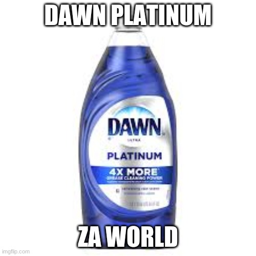 dawn platinum the world | DAWN PLATINUM; ZA WORLD | image tagged in dawn platinum the world | made w/ Imgflip meme maker