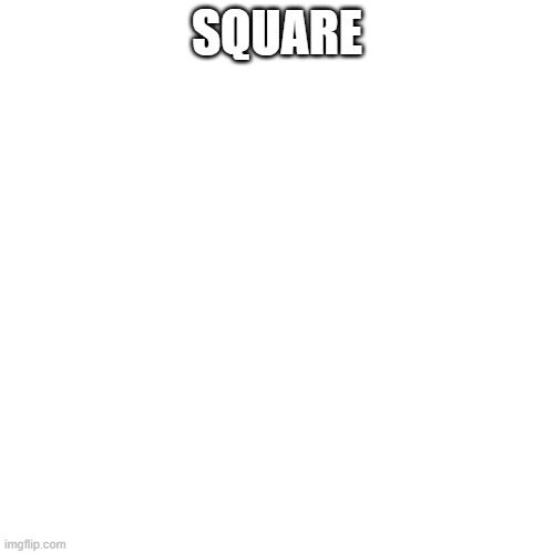 Blank Transparent Square Meme | SQUARE | image tagged in memes,blank transparent square | made w/ Imgflip meme maker