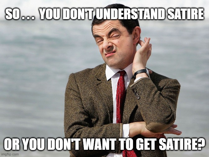 Mr. Bean Doubts | SO . . .  YOU DON'T UNDERSTAND SATIRE OR YOU DON'T WANT TO GET SATIRE? | image tagged in mr bean doubts | made w/ Imgflip meme maker