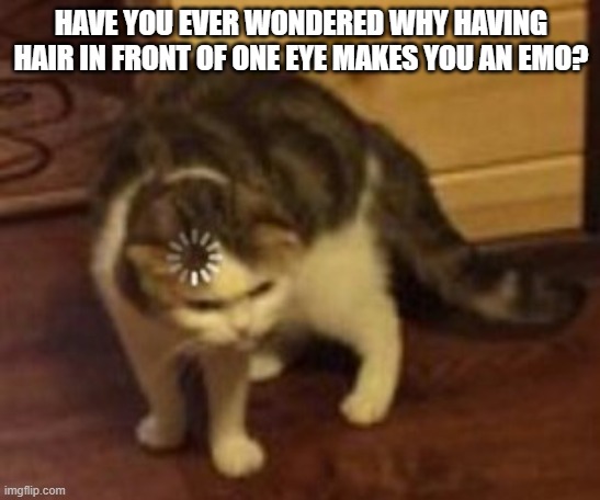 Loading cat | HAVE YOU EVER WONDERED WHY HAVING HAIR IN FRONT OF ONE EYE MAKES YOU AN EMO? | image tagged in loading cat | made w/ Imgflip meme maker