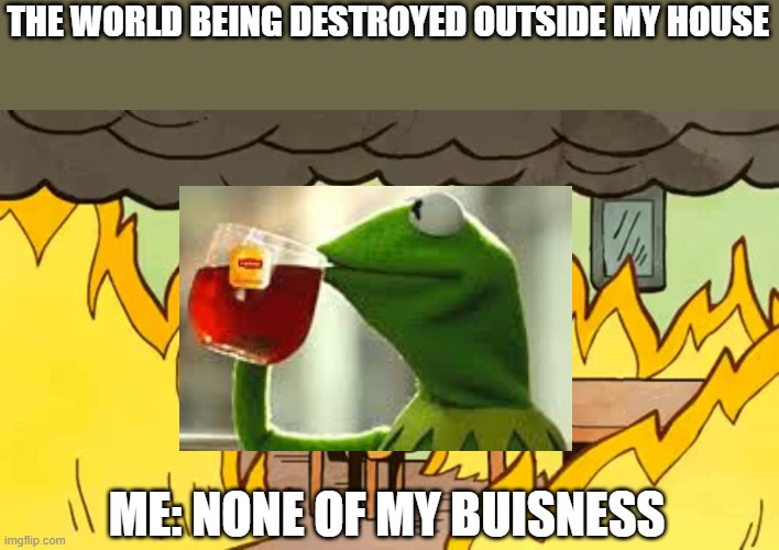 dog in fire | THE WORLD BEING DESTROYED OUTSIDE MY HOUSE; ME: NONE OF MY BUISNESS | image tagged in dog in fire | made w/ Imgflip meme maker