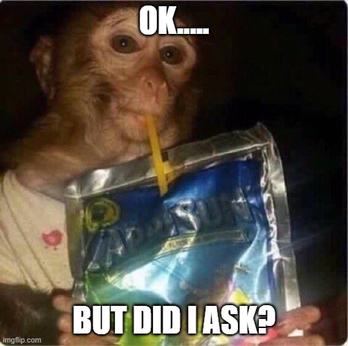 funny | OK..... BUT DID I ASK? | image tagged in memes,monkey | made w/ Imgflip meme maker