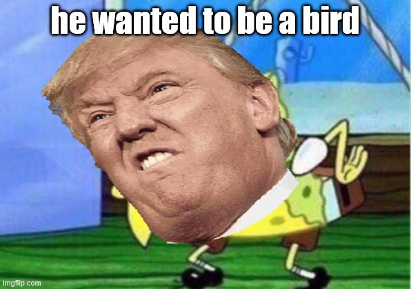 trumpie bird | he wanted to be a bird | image tagged in funny memes | made w/ Imgflip meme maker