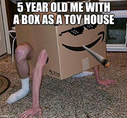 5 YEAR OLD ME WITH A BOX AS A TOY HOUSE | image tagged in dank memes,funny | made w/ Imgflip meme maker