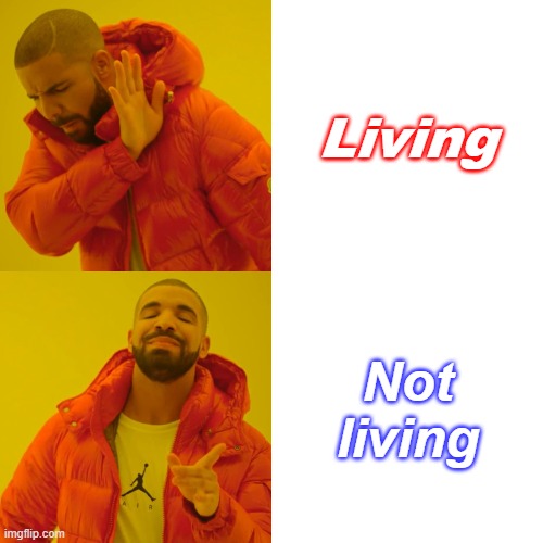 Drake Hotline Bling | Living; Not living | image tagged in memes,drake hotline bling | made w/ Imgflip meme maker