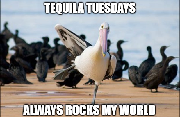 Whoa world | TEQUILA TUESDAYS; ALWAYS ROCKS MY WORLD | image tagged in tequila,memes,fun,2020,tuesday,funny memes | made w/ Imgflip meme maker