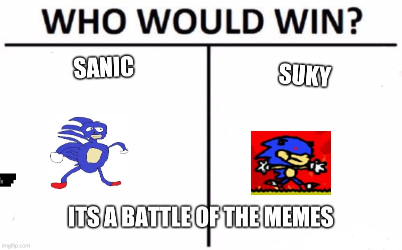 Who Would Win? | SANIC; SUKY; ITS A BATTLE OF THE MEMES | image tagged in memes,who would win | made w/ Imgflip meme maker