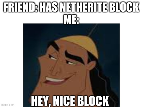 nice block | FRIEND: HAS NETHERITE BLOCK

ME:; HEY, NICE BLOCK | image tagged in hey internet | made w/ Imgflip meme maker