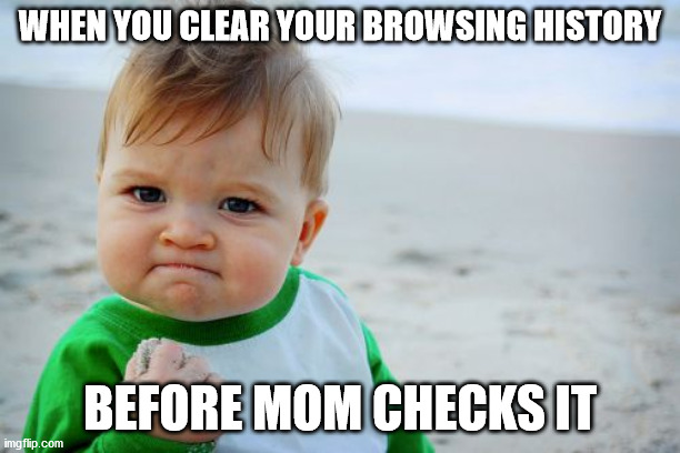 Success Kid Original Meme | WHEN YOU CLEAR YOUR BROWSING HISTORY; BEFORE MOM CHECKS IT | image tagged in memes,success kid original | made w/ Imgflip meme maker