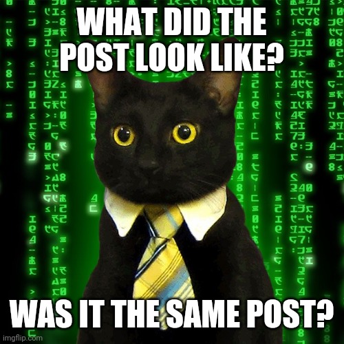 Business Cat Matrix | WHAT DID THE POST LOOK LIKE? WAS IT THE SAME POST? | image tagged in business cat matrix | made w/ Imgflip meme maker