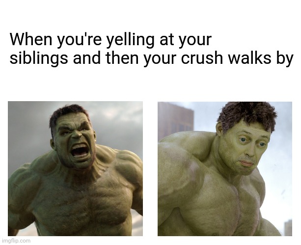 Oops. | When you're yelling at your siblings and then your crush walks by | image tagged in no this never happened | made w/ Imgflip meme maker