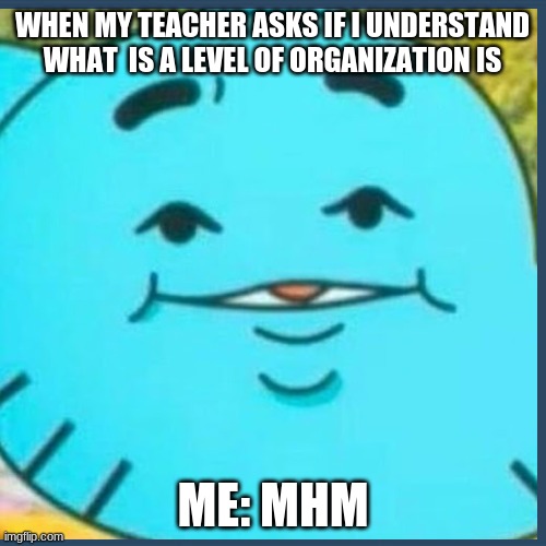 WHEN MY TEACHER ASKS IF I UNDERSTAND WHAT  IS A LEVEL OF ORGANIZATION IS; ME: MHM | image tagged in funny,school | made w/ Imgflip meme maker