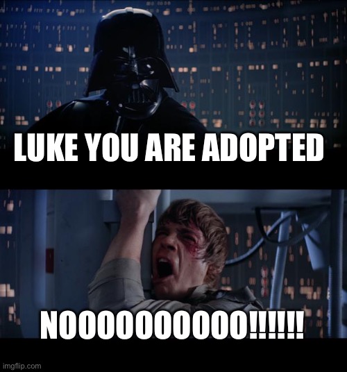 Star Wars No Meme | LUKE YOU ARE ADOPTED; NOOOOOOOOOO!!!!!! | image tagged in memes,star wars no | made w/ Imgflip meme maker