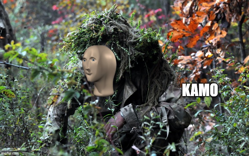 camouflage | KAMO | image tagged in camouflage | made w/ Imgflip meme maker