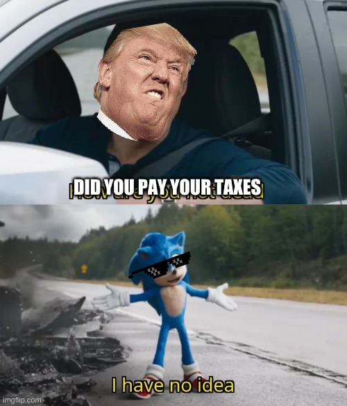 Sonic I have no idea | DID YOU PAY YOUR TAXES | image tagged in sonic i have no idea,for dummies | made w/ Imgflip meme maker