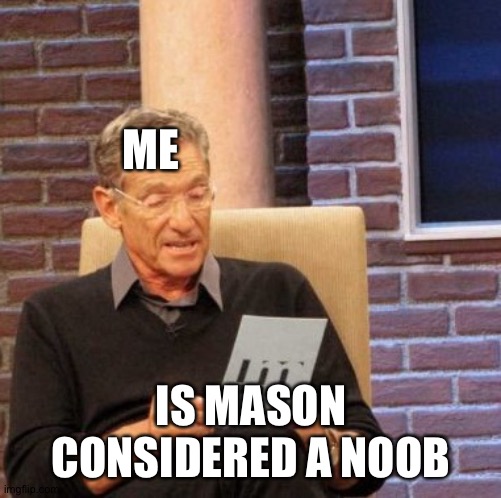 Maury Lie Detector | ME; IS MASON CONSIDERED A NOOB | image tagged in memes,maury lie detector | made w/ Imgflip meme maker
