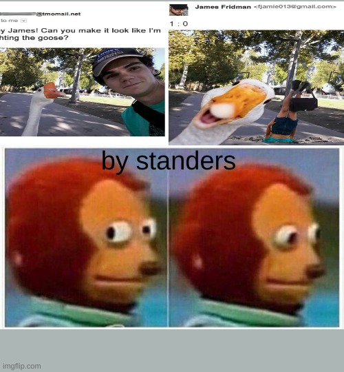 T.K.O | by standers | image tagged in memes,monkey puppet,goose | made w/ Imgflip meme maker