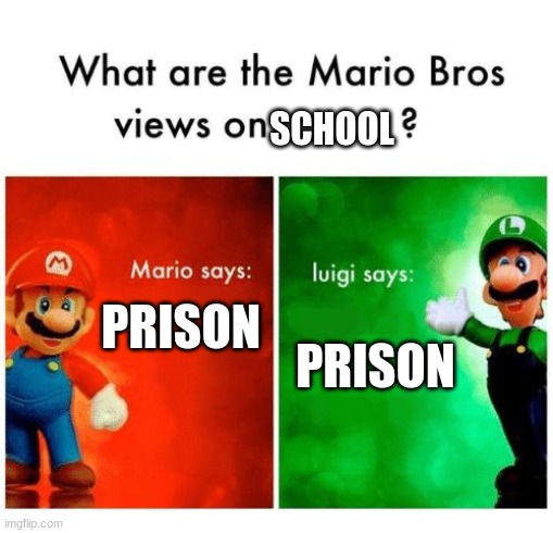 Mario says Luigi says | SCHOOL; PRISON; PRISON | image tagged in mario says luigi says | made w/ Imgflip meme maker