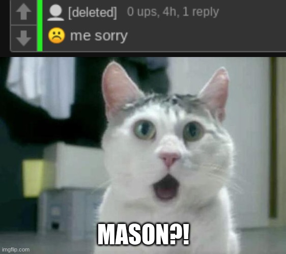 MASON?! | image tagged in memes,omg cat | made w/ Imgflip meme maker