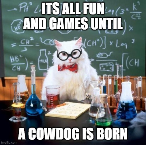 Chemistry Cat Meme | ITS ALL FUN AND GAMES UNTIL A COWDOG IS BORN | image tagged in memes,chemistry cat | made w/ Imgflip meme maker