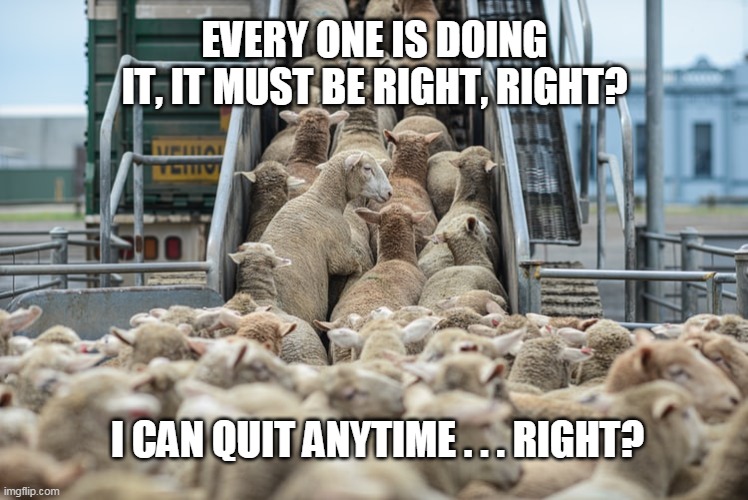 EVERY ONE IS DOING IT, IT MUST BE RIGHT, RIGHT? I CAN QUIT ANYTIME . . . RIGHT? | image tagged in sheeple mentality | made w/ Imgflip meme maker