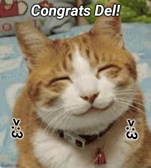 Happy cat | Congrats Del! >:3; >:3 | image tagged in happy cat | made w/ Imgflip meme maker