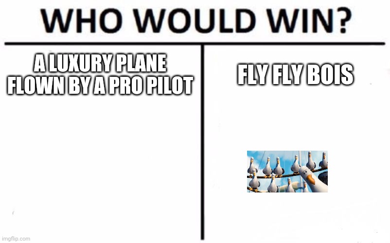 Who Would Win? | A LUXURY PLANE FLOWN BY A PRO PILOT; FLY FLY BOIS | image tagged in memes,who would win | made w/ Imgflip meme maker