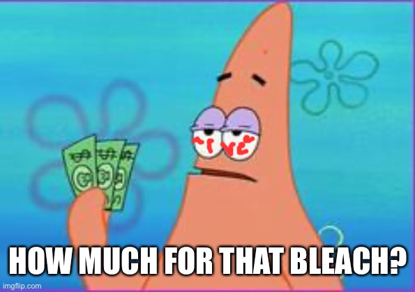 Patrick star three dollars | HOW MUCH FOR THAT BLEACH? | image tagged in patrick star three dollars | made w/ Imgflip meme maker