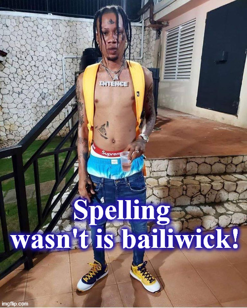 spelling | Spelling

 wasn't is bailiwick! | image tagged in spelling | made w/ Imgflip meme maker