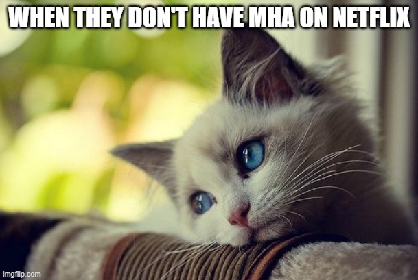 First World Problems Cat Meme | WHEN THEY DON'T HAVE MHA ON NETFLIX | image tagged in memes,first world problems cat,my hero academia,sad cat | made w/ Imgflip meme maker
