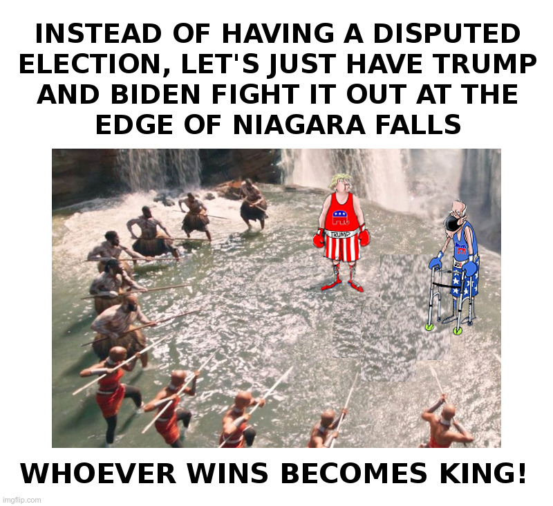 The Black Panther Solution | image tagged in donald trump,joe biden,election,black panther,waterfall,fight | made w/ Imgflip meme maker