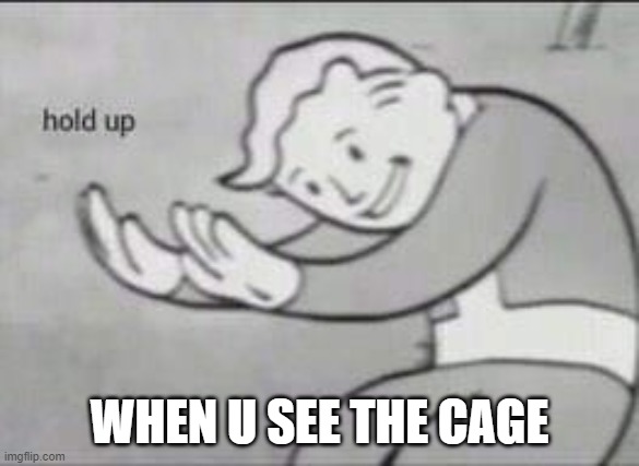 Fallout Hold Up | WHEN U SEE THE CAGE | image tagged in fallout hold up | made w/ Imgflip meme maker