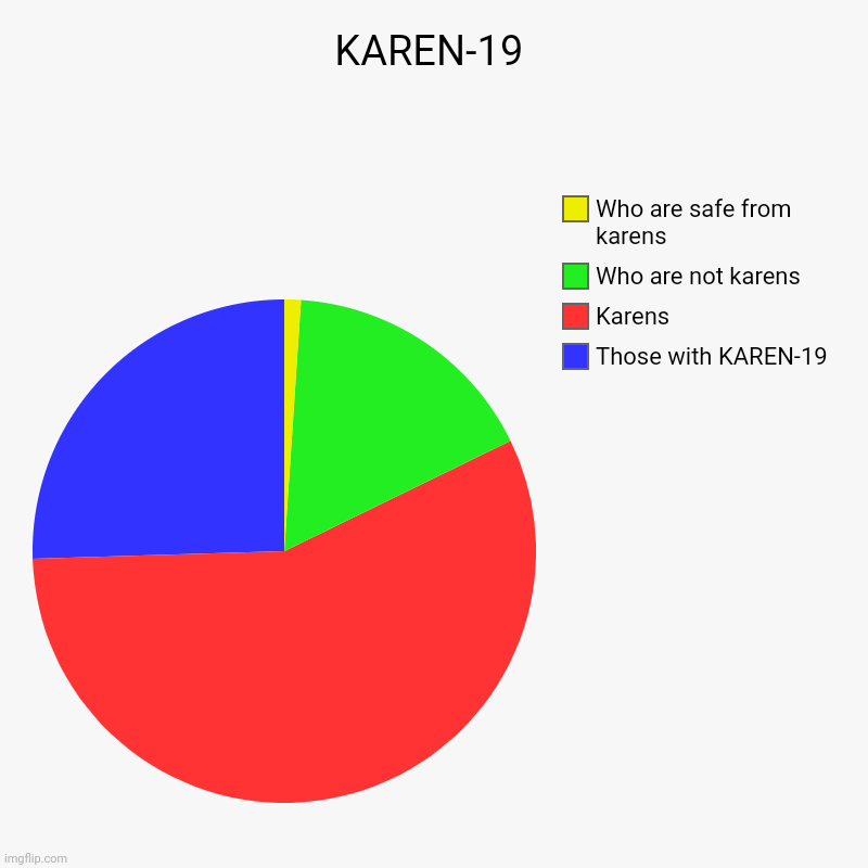 KAREN-19 | Those with KAREN-19, Karens, Who are not karens, Who are safe from karens | image tagged in charts,pie charts | made w/ Imgflip chart maker