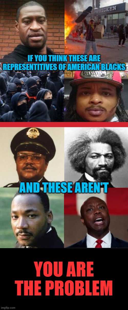 IF YOU THINK THESE ARE REPRESENTITIVES OF AMERICAN BLACKS; AND THESE AREN'T; YOU ARE THE PROBLEM | image tagged in looters,blm,frederick douglass,martin luther king jr,george floyd | made w/ Imgflip meme maker