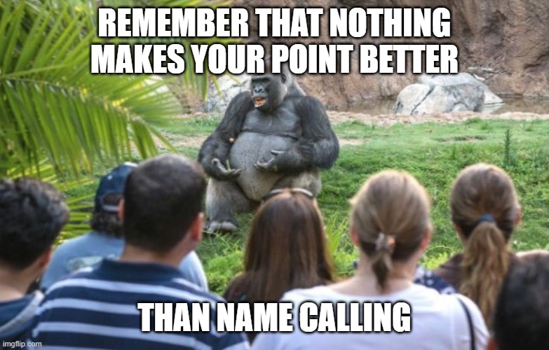 ted talk gorilla | REMEMBER THAT NOTHING MAKES YOUR POINT BETTER THAN NAME CALLING | image tagged in ted talk gorilla | made w/ Imgflip meme maker