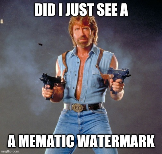 Mematic watermark | DID I JUST SEE A; A MEMATIC WATERMARK | image tagged in memes,chuck norris guns,chuck norris | made w/ Imgflip meme maker