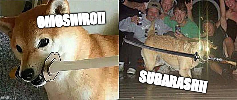 AMATEUR! | OMOSHIROI! SUBARASHII | image tagged in funny,doggo,sword,glowing eyes | made w/ Imgflip meme maker