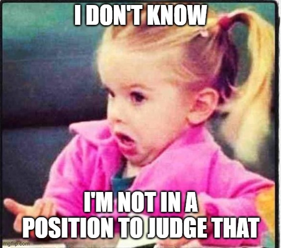 Confused Girl | I DON'T KNOW I'M NOT IN A POSITION TO JUDGE THAT | image tagged in confused girl | made w/ Imgflip meme maker