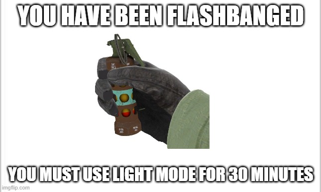 youve been flashbanged | YOU HAVE BEEN FLASHBANGED; YOU MUST USE LIGHT MODE FOR 30 MINUTES | image tagged in flashbang,light,light mode,memes,funny,funny memes | made w/ Imgflip meme maker